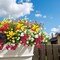 20 Bundles Artificial Flowers for Outdoors, UV Resistant Fake Plants, Faux Plastic Flowers for Home, Window Box, Porch, Indoor, Cemetery, Fall, Summer Decor